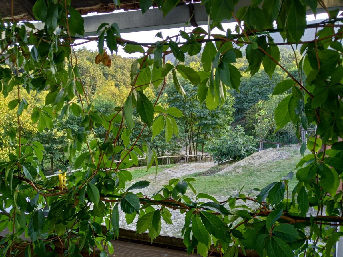 Country House Roman Doboj Exterior foto