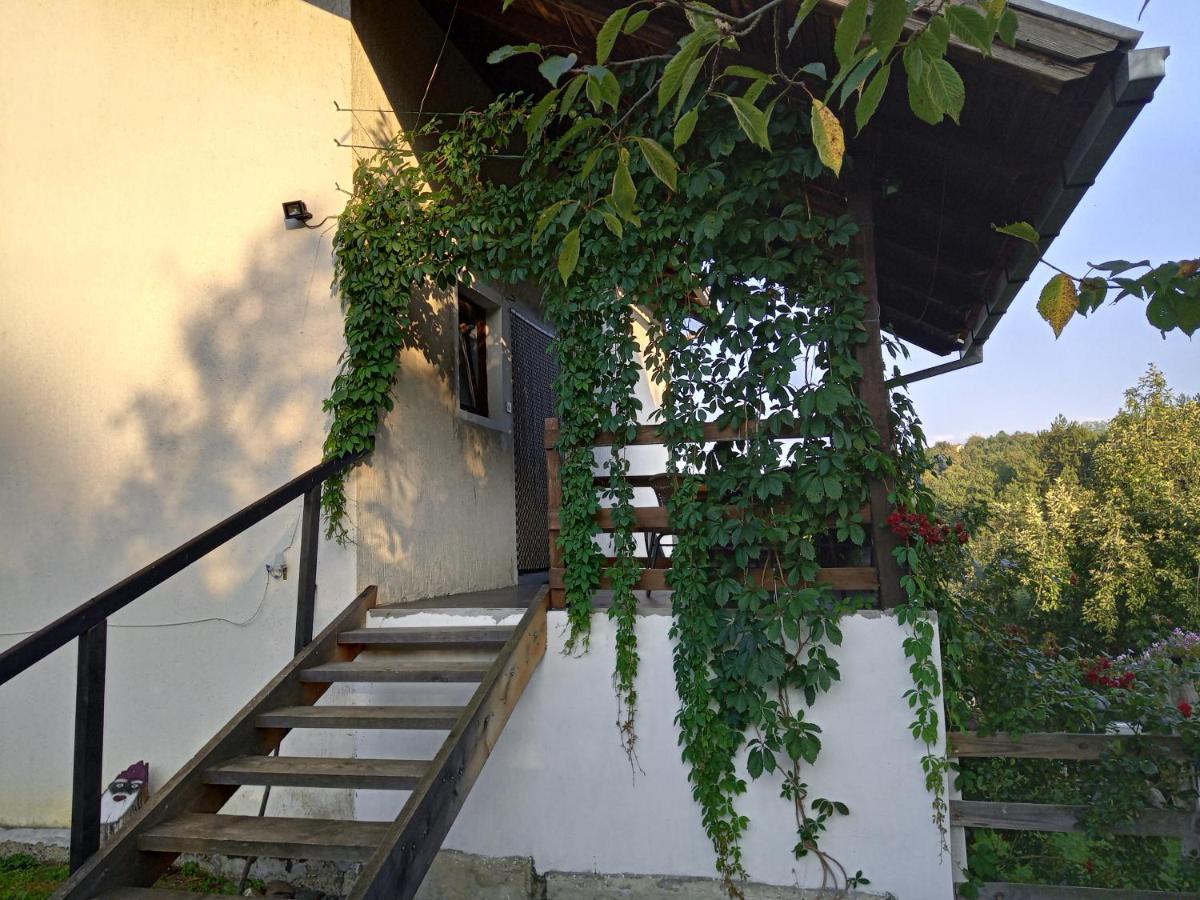 Country House Roman Doboj Exterior foto