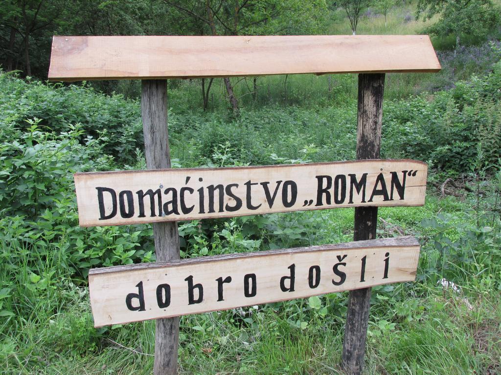 Country House Roman Doboj Exterior foto